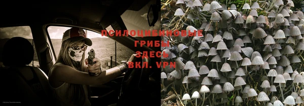 ALPHA-PVP Алексеевка